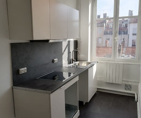 Cuisine rénovée à Lyon 6 avec meubles modernes et crédence foncée